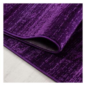 Ayyildiz Moderní kusový koberec Plus 8000 Lila | fialový Typ: 120x170 cm