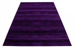 Ayyildiz Moderní kusový koberec Plus 8000 Lila | fialový Typ: 80x150 cm