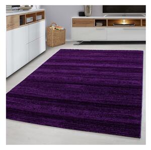 Ayyildiz Moderní kusový koberec Plus 8000 Lila | fialový Typ: 120x170 cm