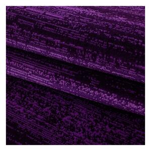 Ayyildiz Moderní kusový koberec Plus 8000 Lila | fialový Typ: 80x150 cm