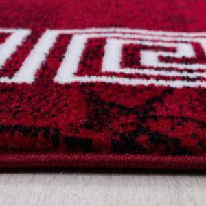Moderní kusový koberec Plus 8009 Red | červený Typ: 160x230 cm