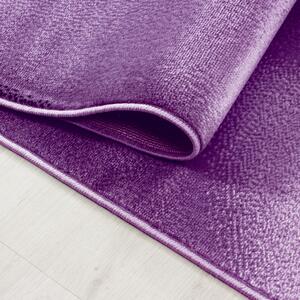 Moderní kusový koberec Plus 8008 Lila | fialový Typ: 80x150 cm