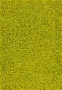 Chlupatý kusový koberec Expo Shaggy zelený 5699-344 Typ: 200x290 cm