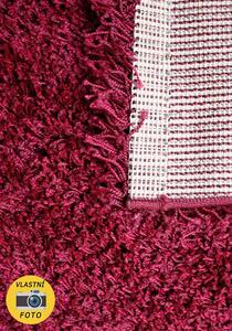 Chlupatý kusový koberec Shaggy Plus fialový 957 Typ: 80x150 cm