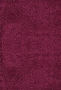 Chlupatý kusový koberec Shaggy Plus fialový 957 Typ: 200x290 cm