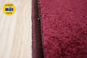 Moderní kusový koberec Eton | fialový Typ: 50x80 cm