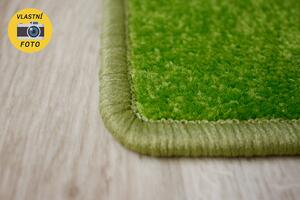 Moderní kusový koberec Eton | zelený Typ: 200x300 cm