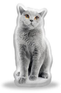 Polštář 3D SABLIO - Britská kočka