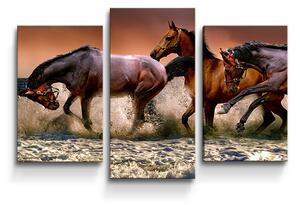Sablio Obraz - 3-dílný Koně ve vodě - 75x50 cm