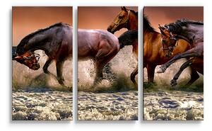 Sablio Obraz - 3-dílný Koně ve vodě - 120x80 cm