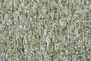 ASSOCIATED WEAWERS Metrážový koberec SAVANNAH 29 BARVA: Zelená, ŠÍŘKA: 4 m