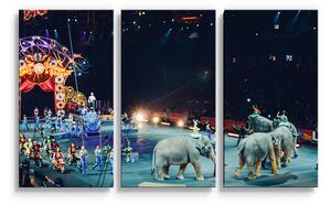 Sablio Obraz - 3-dílný Cirkus - 120x80 cm