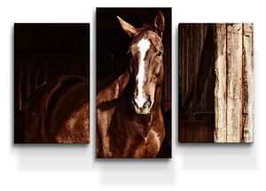 Sablio Obraz - 3-dílný Kůň ve stáji - 75x50 cm