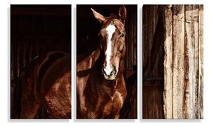 Sablio Obraz - 3-dílný Kůň ve stáji - 120x80 cm
