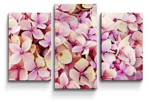 Sablio Obraz - 3-dílný Růžové květy - 75x50 cm