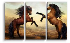 Sablio Obraz - 3-dílný Vzpínající se koně - 120x80 cm