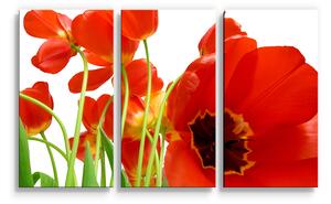 Sablio Obraz - 3-dílný Tulipány - 120x80 cm