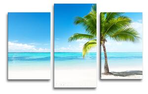 Sablio Obraz - 3-dílný Palma na pláži - 75x50 cm