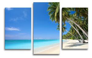 Sablio Obraz - 3-dílný Palmová pláž - 75x50 cm