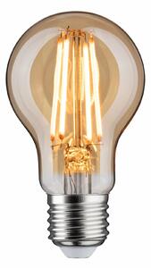 PAULMANN 1879 Filament 230V 3-krokové-stmívatelné LED žárovka E27 6W 1800K stmívatelné zlatá