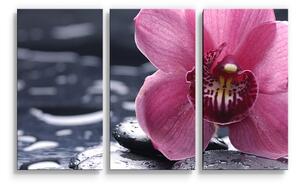 Sablio Obraz - 3-dílný Orchidej - 120x80 cm