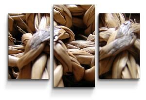 Sablio Obraz - 3-dílný Banánové listí - 75x50 cm