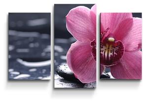 Sablio Obraz - 3-dílný Orchidej - 75x50 cm