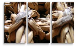 Sablio Obraz - 3-dílný Banánové listí - 120x80 cm