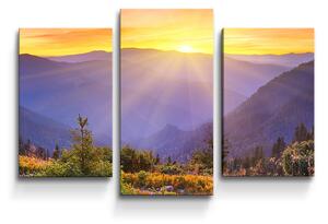 Sablio Obraz - 3-dílný Západ slunce nad lesem - 75x50 cm