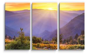 Sablio Obraz - 3-dílný Západ slunce nad lesem - 120x80 cm
