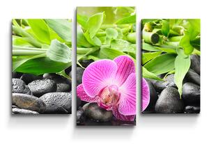Sablio Obraz - 3-dílný Růžová orchidej - 75x50 cm