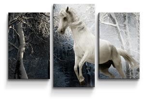 Sablio Obraz - 3-dílný Bílý kůň - 75x50 cm