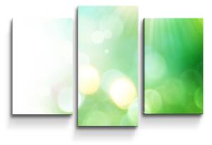 Sablio Obraz - 3-dílný Zelená abstrakce - 75x50 cm
