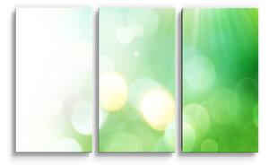 Sablio Obraz - 3-dílný Zelená abstrakce - 120x80 cm