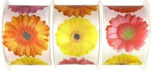 Set 3x Stuha taftová GERBERA YELLOW fotopotisk Gerbera 3x (40mm x 2m)
