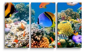 Sablio Obraz - 3-dílný Korálový útes - 120x80 cm