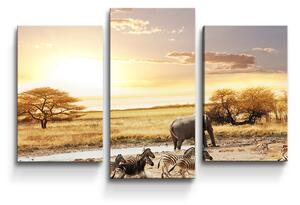 Sablio Obraz - 3-dílný Safari - 75x50 cm