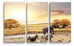 Sablio Obraz - 3-dílný Safari - 120x80 cm