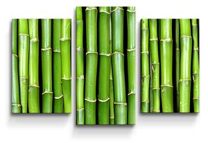 Sablio Obraz - 3-dílný Bambus - 75x50 cm