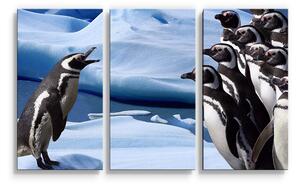 Sablio Obraz - 3-dílný Tučňáci - 120x80 cm