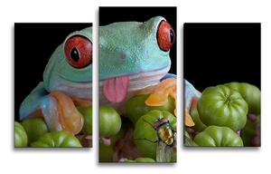 Sablio Obraz - 3-dílný Veselá žába - 75x50 cm