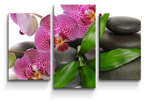 Sablio Obraz - 3-dílný Orchideje a kameny - 75x50 cm