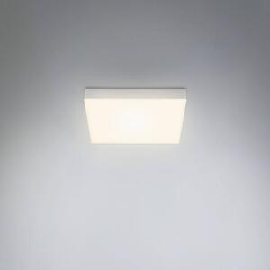 LED stropní světlo Flame, 21,2 x 21,2 cm, stříbrná