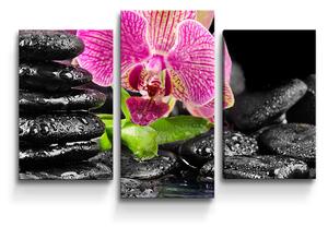 Sablio Obraz - 3-dílný Orchidej na kamenech - 75x50 cm