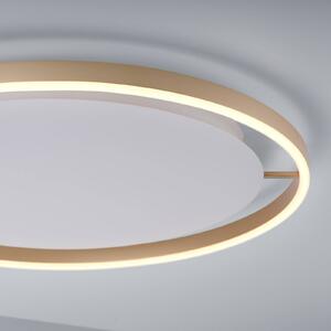 LED stropní svítidlo Ritus, Ø 58,5 cm, matná mosaz