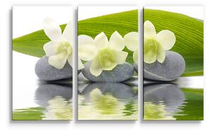 Sablio Obraz - 3-dílný Bílá orchidej - 120x80 cm