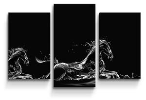 Sablio Obraz - 3-dílný Vodní kůň - 75x50 cm