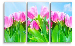 Sablio Obraz - 3-dílný Růžové tulipány - 120x80 cm