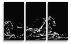 Sablio Obraz - 3-dílný Vodní kůň - 120x80 cm