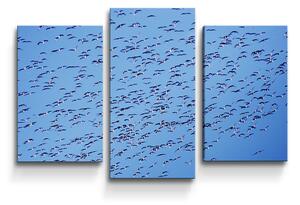 Sablio Obraz - 3-dílný Hejno ptáků - 75x50 cm